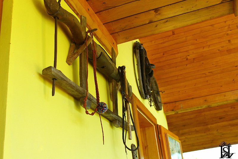 Poliaci na Tarasu  34.JPG